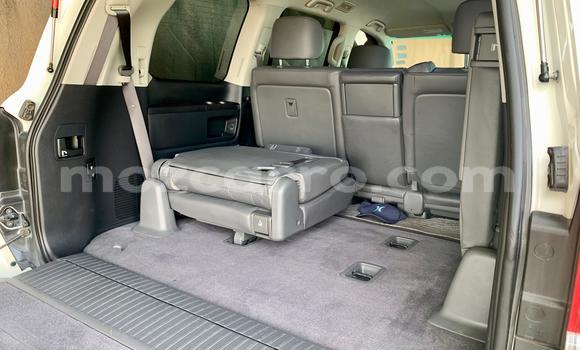 Buy New Toyota Land Cruiser White Car in Maputo in Maputo Buy New Toyota Land Cruiser White Car in Maputo in Maputo