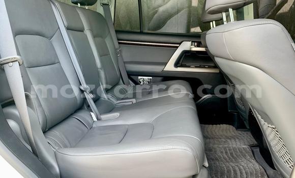 Buy New Toyota Land Cruiser White Car in Maputo in Maputo Buy New Toyota Land Cruiser White Car in Maputo in Maputo