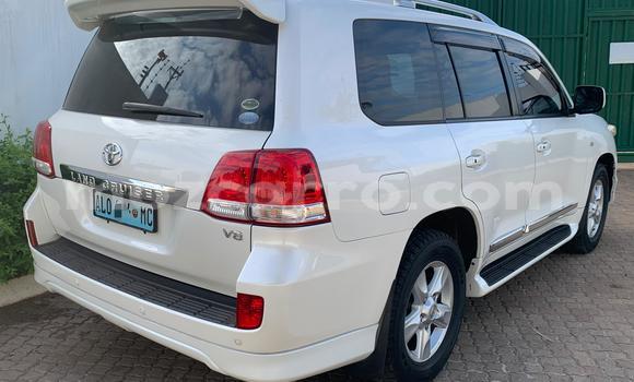 Buy New Toyota Land Cruiser White Car in Maputo in Maputo Buy New Toyota Land Cruiser White Car in Maputo in Maputo