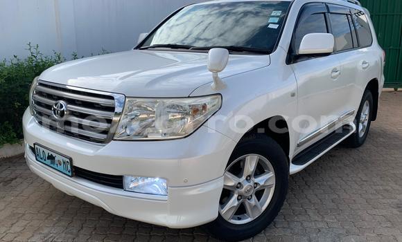 Buy New Toyota Land Cruiser White Car in Maputo in Maputo Buy New Toyota Land Cruiser White Car in Maputo in Maputo