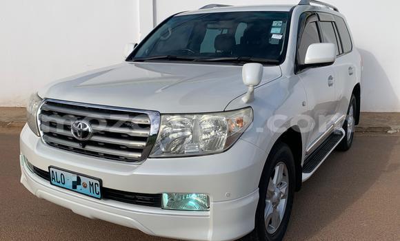 Buy New Toyota Land Cruiser White Car in Maputo in Maputo Buy New Toyota Land Cruiser White Car in Maputo in Maputo