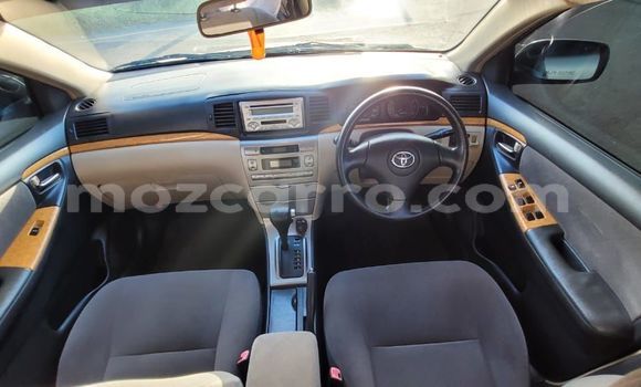 Comprar Usado Toyota Runx Prata Carro em Maputo em Maputo Comprar Usado Toyota Runx Prata Carro em Maputo em Maputo