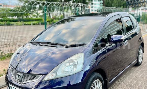Nunua Ilio tumika Honda Fit Bluu Gari ndani ya Maputo nchini Maputo Nunua Ilio tumika Honda Fit Bluu Gari ndani ya Maputo nchini Maputo