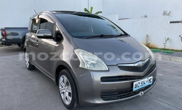 Buy Used Toyota Ractis Other Car in Maputo in Maputo