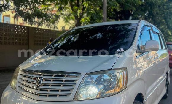 Tenga Tsaru Toyota Alphard Chena Mota in Maputo in Maputo Tenga Tsaru Toyota Alphard Chena Mota in Maputo in Maputo