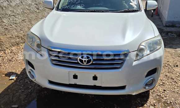 Tenga Tsaru Toyota Vanguard Chena Mota in Maputo in Maputo