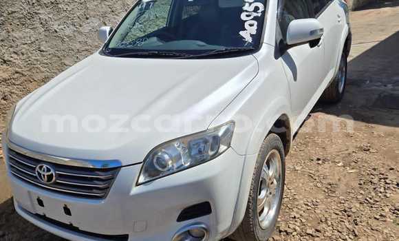 Tenga Tsaru Toyota Vanguard Chena Mota in Maputo in Maputo Tenga Tsaru Toyota Vanguard Chena Mota in Maputo in Maputo