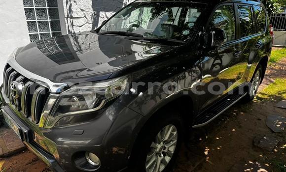 Nunua Ilio tumika Toyota Land Cruiser Prado Nyingine Gari ndani ya Maputo nchini Maputo Nunua Ilio tumika Toyota Land Cruiser Prado Nyingine Gari ndani ya Maputo nchini Maputo