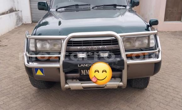 Buy Used Toyota Land Cruiser Green Car in Maputo in Maputo Buy Used Toyota Land Cruiser Green Car in Maputo in Maputo