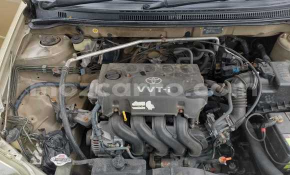 Nunua Ilio tumika Toyota Runx Nyingine Gari ndani ya Maputo nchini Maputo Nunua Ilio tumika Toyota Runx Nyingine Gari ndani ya Maputo nchini Maputo