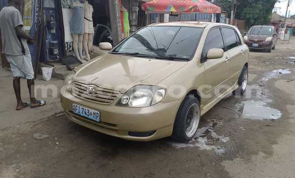 Nunua Ilio tumika Toyota Runx Nyingine Gari ndani ya Maputo nchini Maputo Nunua Ilio tumika Toyota Runx Nyingine Gari ndani ya Maputo nchini Maputo