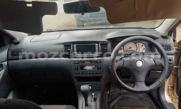 Nunua Ilio tumika Toyota Runx Nyingine Gari ndani ya Maputo nchini Maputo Nunua Ilio tumika Toyota Runx Nyingine Gari ndani ya Maputo nchini Maputo