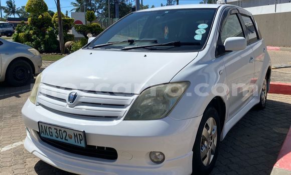 Tenga Tsaru Toyota IST Chena Mota in Maputo in Maputo Tenga Tsaru Toyota IST Chena Mota in Maputo in Maputo