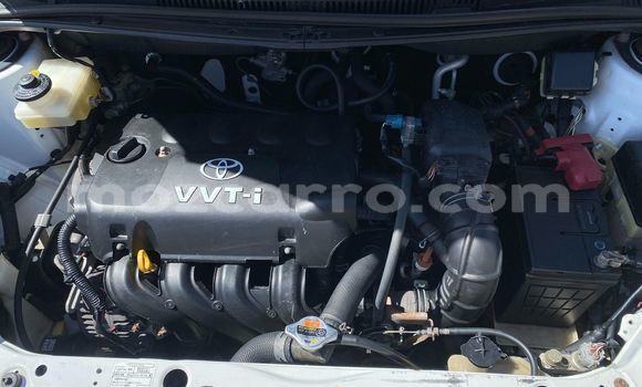 Tenga Tsaru Toyota IST Chena Mota in Maputo in Maputo Tenga Tsaru Toyota IST Chena Mota in Maputo in Maputo