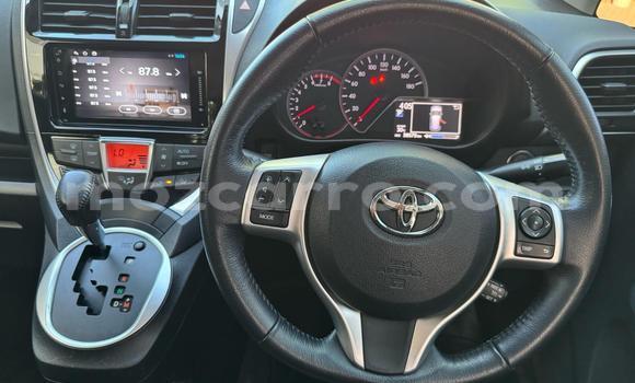 Buy New Toyota Ractis Blue Car in Maputo in Maputo Buy New Toyota Ractis Blue Car in Maputo in Maputo