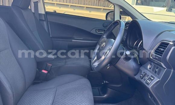 Buy New Toyota Ractis Blue Car in Maputo in Maputo Buy New Toyota Ractis Blue Car in Maputo in Maputo