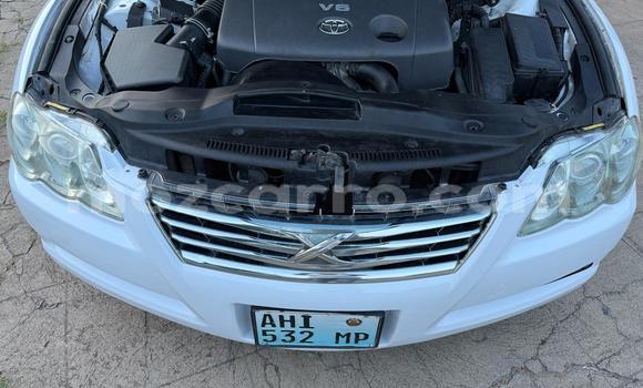 Tenga Tsaru Toyota Mark X Chena Mota in Maputo in Maputo Tenga Tsaru Toyota Mark X Chena Mota in Maputo in Maputo