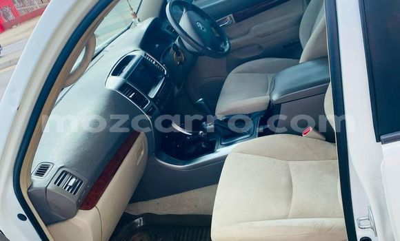 Tenga Tsaru Toyota Prado Chena Mota in Maputo in Maputo Tenga Tsaru Toyota Prado Chena Mota in Maputo in Maputo