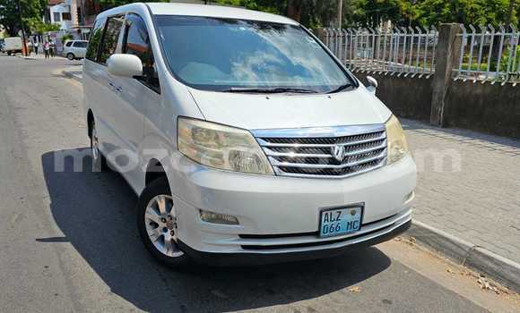 Tenga Tsaru Toyota Alphard Chena Mota in Maputo in Maputo Tenga Tsaru Toyota Alphard Chena Mota in Maputo in Maputo