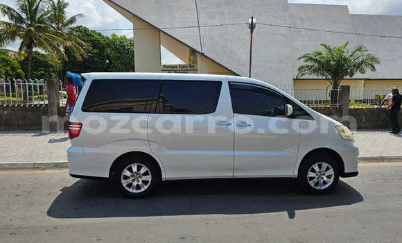 Tenga Tsaru Toyota Alphard Chena Mota in Maputo in Maputo Tenga Tsaru Toyota Alphard Chena Mota in Maputo in Maputo