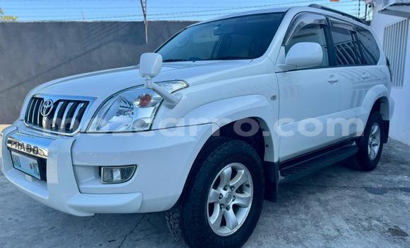 Tenga Itsva Toyota Land Cruiser Prado Chena Mota in Maputo in Maputo Tenga Itsva Toyota Land Cruiser Prado Chena Mota in Maputo in Maputo