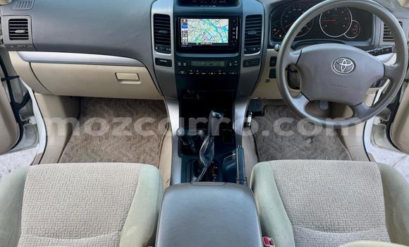 Comprar Novo Toyota Land Cruiser Prado Branco Carro em Maputo em Maputo Comprar Novo Toyota Land Cruiser Prado Branco Carro em Maputo em Maputo