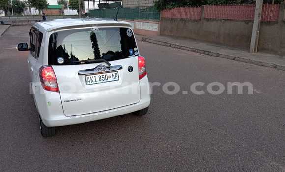 Comprar Novo Toyota Ractis Branco Carro em Maputo em Maputo