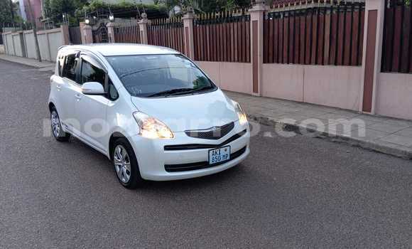 Buy New Toyota Ractis White Car in Maputo in Maputo Buy New Toyota Ractis White Car in Maputo in Maputo