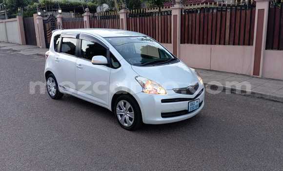 Buy New Toyota Ractis White Car in Maputo in Maputo Buy New Toyota Ractis White Car in Maputo in Maputo