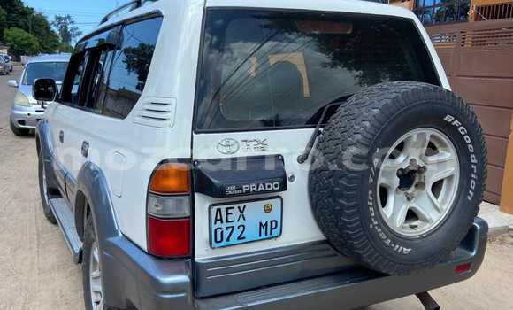 Buy Used Toyota Land Cruiser Prado Other Car in Maputo in Maputo Buy Used Toyota Land Cruiser Prado Other Car in Maputo in Maputo