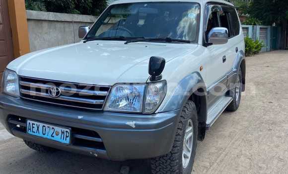 Buy Used Toyota Land Cruiser Prado Other Car in Maputo in Maputo Buy Used Toyota Land Cruiser Prado Other Car in Maputo in Maputo