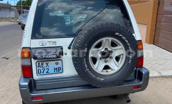 Buy Used Toyota Land Cruiser Prado Other Car in Maputo in Maputo Buy Used Toyota Land Cruiser Prado Other Car in Maputo in Maputo