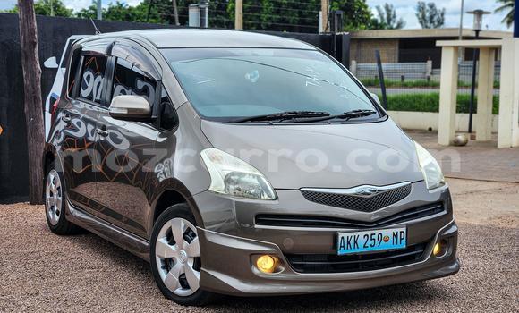 Comprar Novo Toyota Ractis Castanho Carro em Maputo em Maputo Comprar Novo Toyota Ractis Castanho Carro em Maputo em Maputo