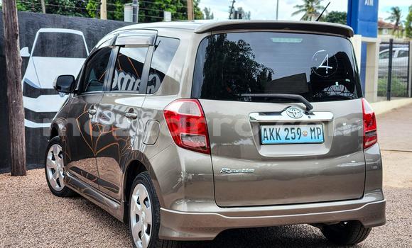 Comprar Novo Toyota Ractis Castanho Carro em Maputo em Maputo Comprar Novo Toyota Ractis Castanho Carro em Maputo em Maputo