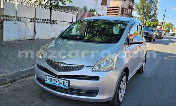Buy New Toyota Ractis Silver Car in Maputo in Maputo