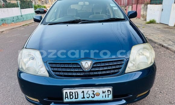 Buy Used Toyota Runx Blue Car in Maputo in Maputo