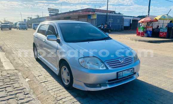 Comprar Usado Toyota Allex Prata Carro em Maputo em Maputo