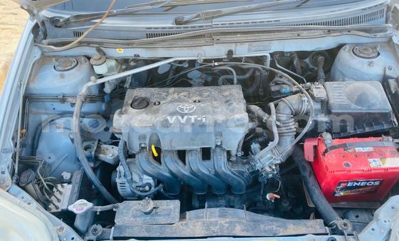 Tenga Tsaru Toyota Allex Sirivha Mota in Maputo in Maputo Tenga Tsaru Toyota Allex Sirivha Mota in Maputo in Maputo