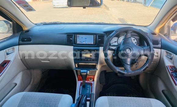 Tenga Tsaru Toyota Allex Sirivha Mota in Maputo in Maputo Tenga Tsaru Toyota Allex Sirivha Mota in Maputo in Maputo