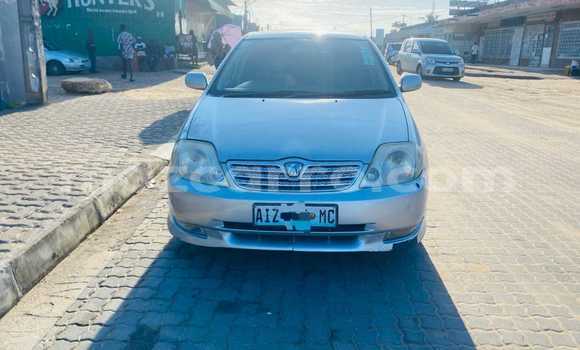 Tenga Tsaru Toyota Allex Sirivha Mota in Maputo in Maputo Tenga Tsaru Toyota Allex Sirivha Mota in Maputo in Maputo