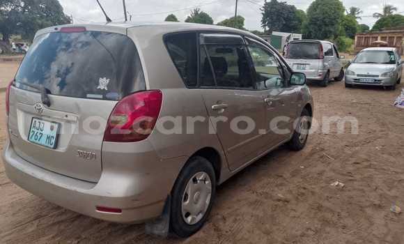 Tenga Tsaru Toyota Spacio Bhurawuni Mota in Maputo in Maputo Tenga Tsaru Toyota Spacio Bhurawuni Mota in Maputo in Maputo