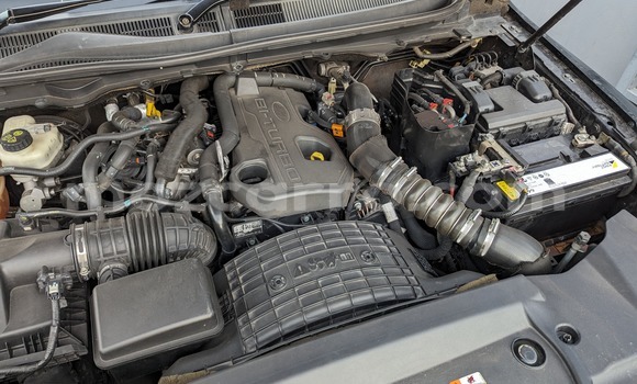 Tenga Tsaru Ford Ranger Nhema Mota in Maputo in Maputo Tenga Tsaru Ford Ranger Nhema Mota in Maputo in Maputo