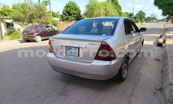Tenga Tsaru Toyota Corolla Zvimwe Mota in Maputo in Maputo Tenga Tsaru Toyota Corolla Zvimwe Mota in Maputo in Maputo