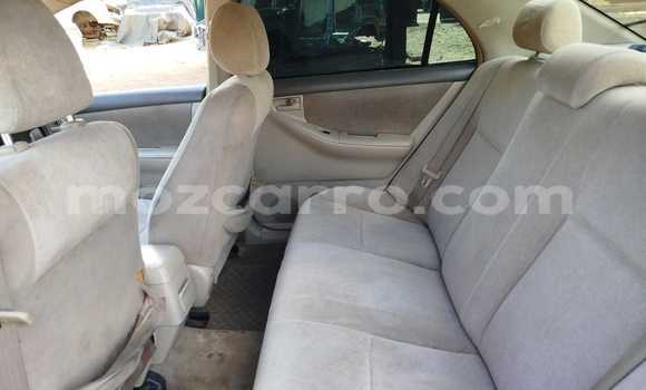 Tenga Tsaru Toyota Corolla Zvimwe Mota in Maputo in Maputo Tenga Tsaru Toyota Corolla Zvimwe Mota in Maputo in Maputo