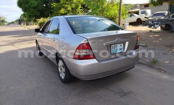 Tenga Tsaru Toyota Corolla Zvimwe Mota in Maputo in Maputo Tenga Tsaru Toyota Corolla Zvimwe Mota in Maputo in Maputo