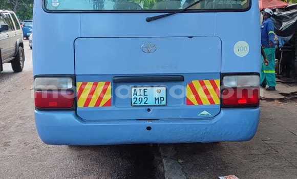Tenga Itsva Toyota Coaster Bhuruu Mota in Mocambique in Nampula Tenga Itsva Toyota Coaster Bhuruu Mota in Mocambique in Nampula
