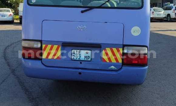 Tenga Itsva Toyota Coaster Bhuruu Mota in Mocambique in Nampula Tenga Itsva Toyota Coaster Bhuruu Mota in Mocambique in Nampula