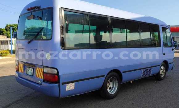 Tenga Itsva Toyota Coaster Bhuruu Mota in Mocambique in Nampula Tenga Itsva Toyota Coaster Bhuruu Mota in Mocambique in Nampula