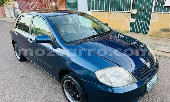 Tenga Tsaru Toyota Runx Bhuruu Mota in Maputo in Maputo Tenga Tsaru Toyota Runx Bhuruu Mota in Maputo in Maputo