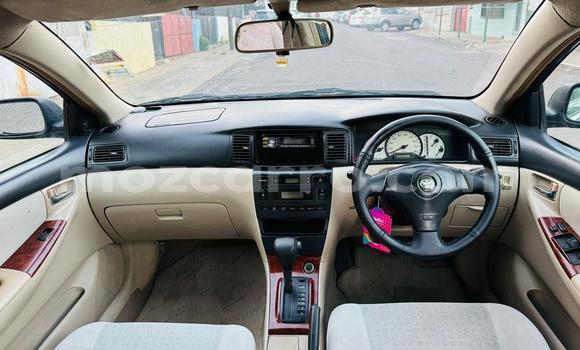 Tenga Tsaru Toyota Runx Bhuruu Mota in Maputo in Maputo Tenga Tsaru Toyota Runx Bhuruu Mota in Maputo in Maputo